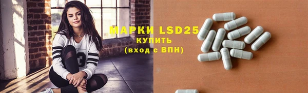 эйфоретик Аркадак