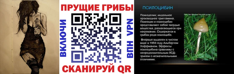 Псилоцибиновые грибы MAGIC MUSHROOMS  Фатеж 
